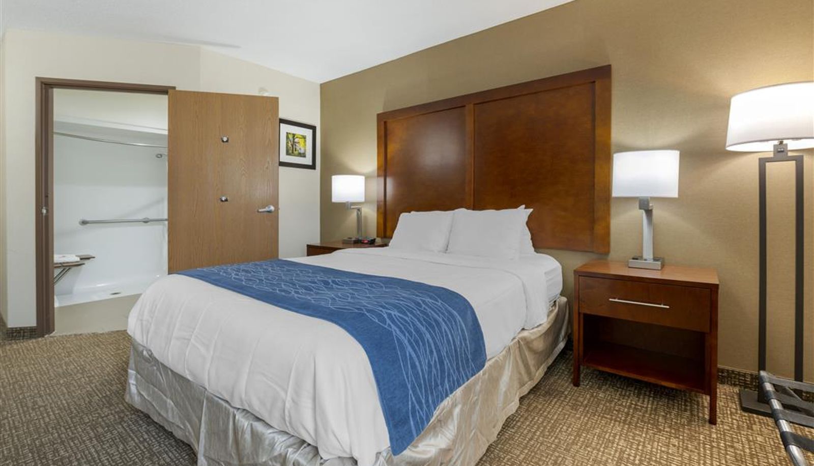 Camera - Comfort Inn Anderson South