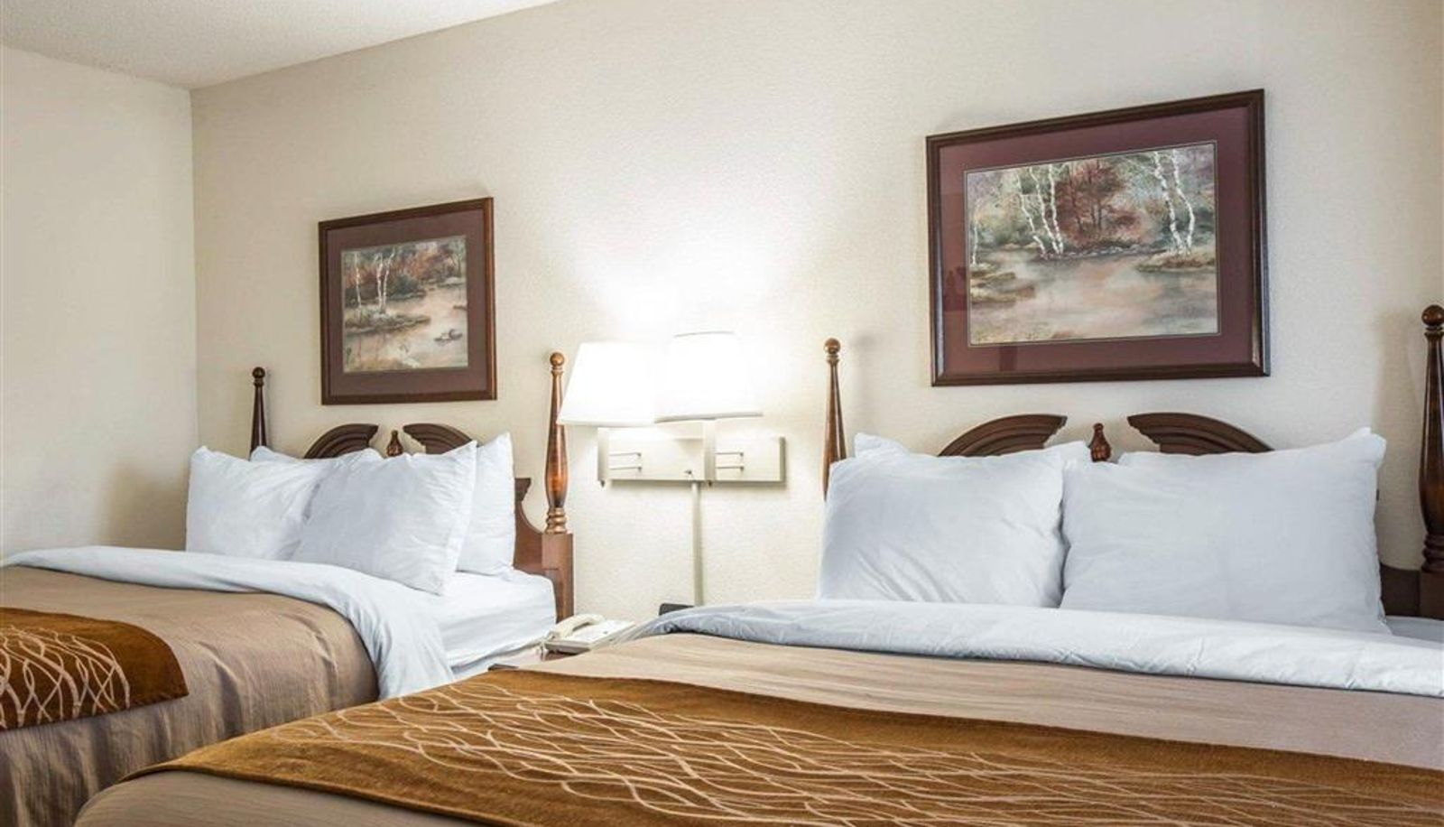 Chambre - Comfort Inn & Suites Spartanburg North