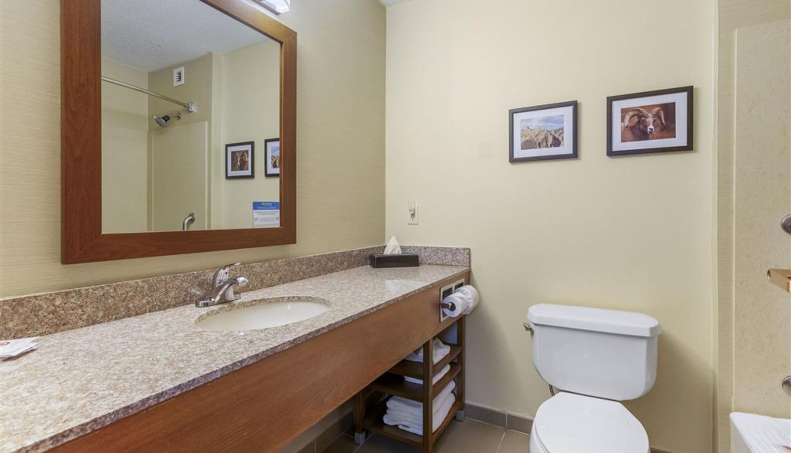 Zimmer - Comfort Inn & Suites Rapid City South - Mt Rushmore Gateway