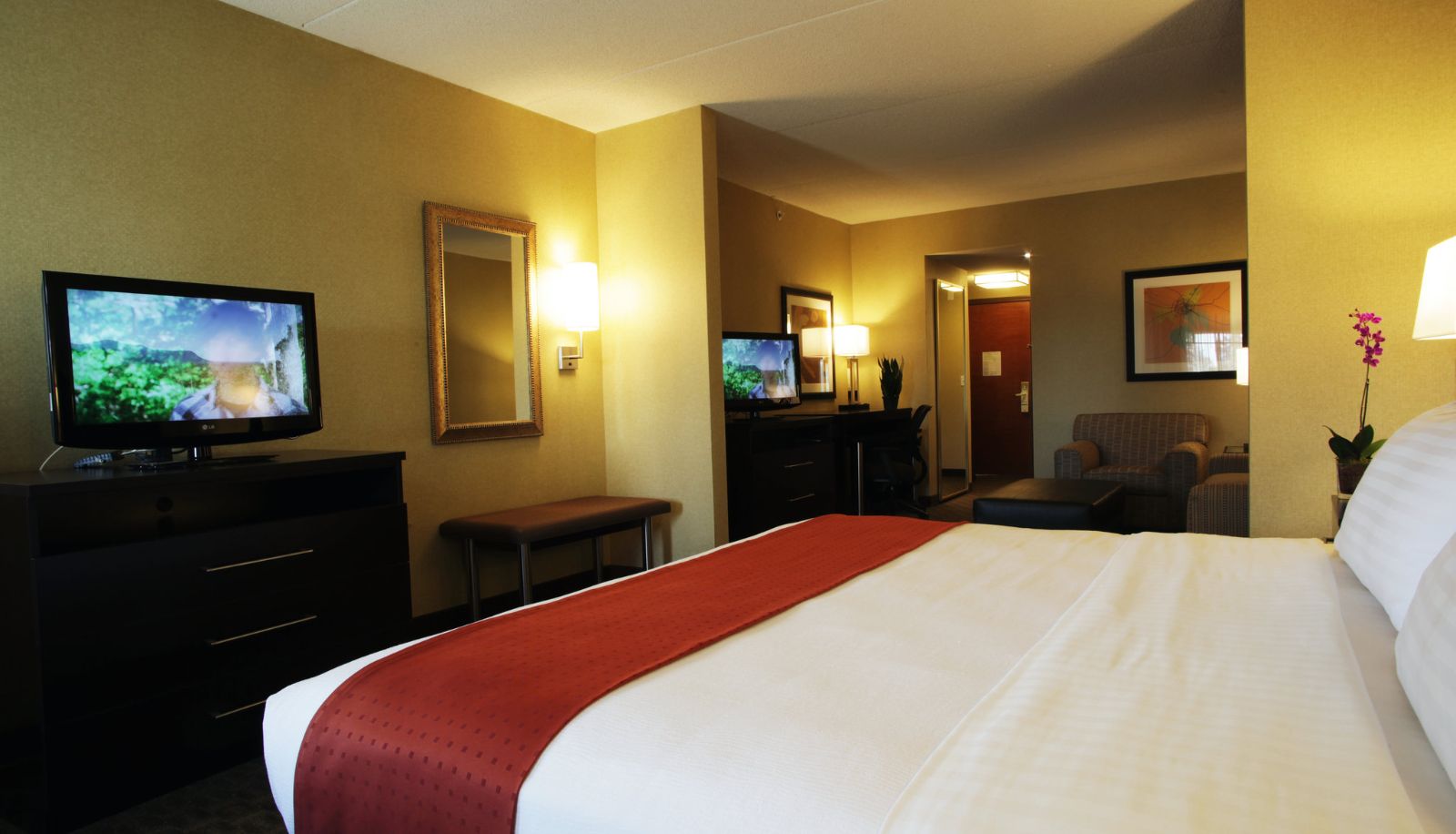 Kamer - Holiday Inn PHOENIX - CHANDLER by IHG