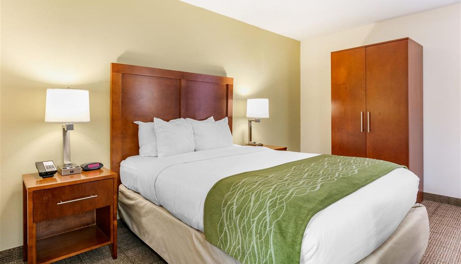 Room - Comfort Inn Chattanooga Downtown Southside