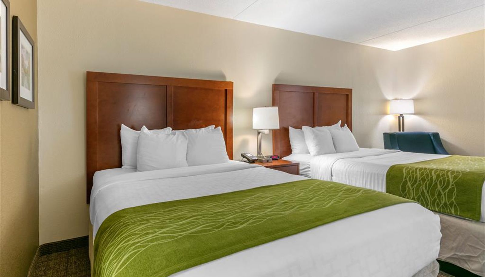 Room - Comfort Inn Chattanooga Downtown Southside
