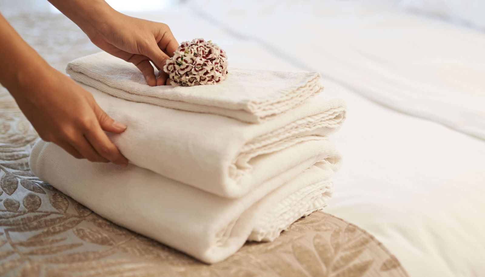 Chambre - M Star Hotel Columbus North