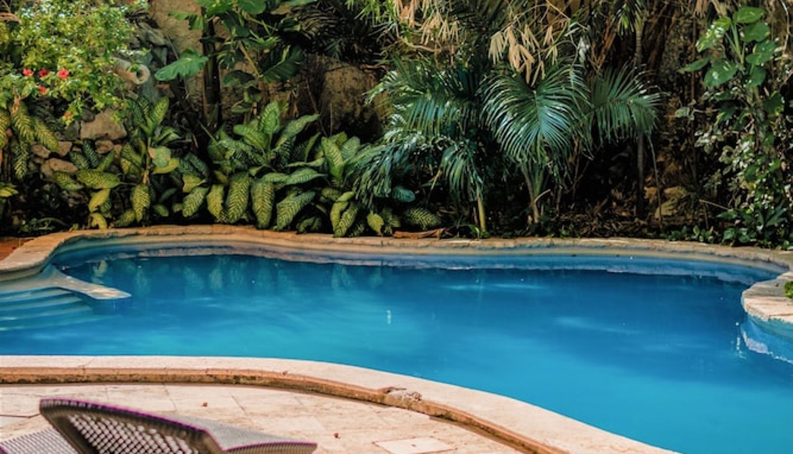 Pool - Hotel Maison del Embajador