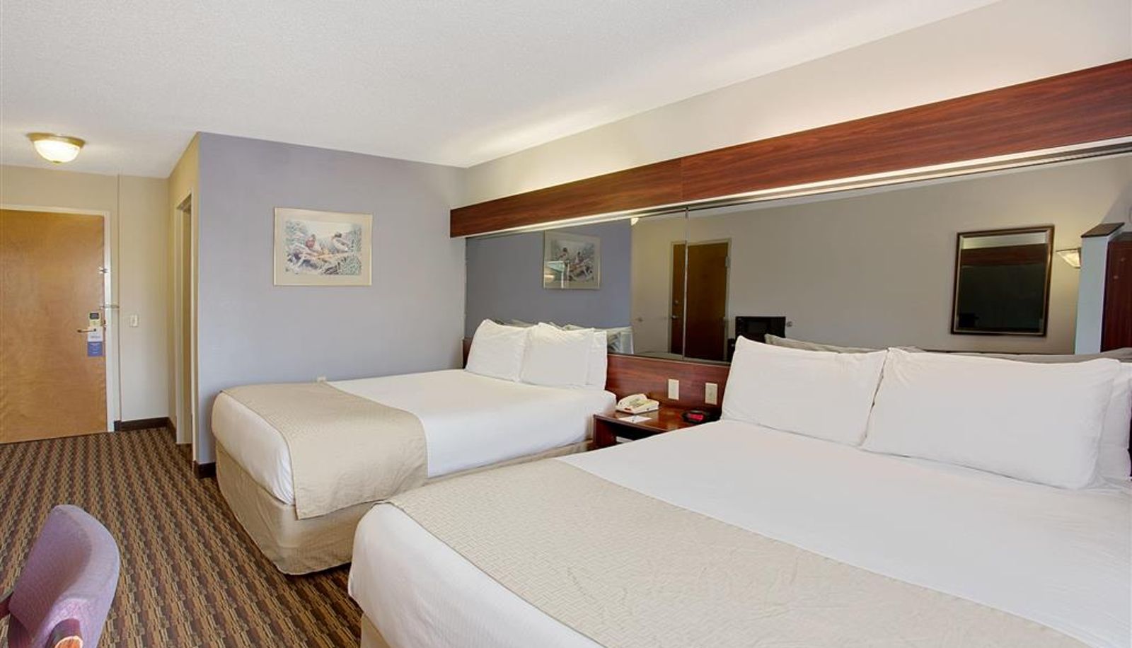 Room - Microtel Inn & Suites by Wyndham Murfreesboro