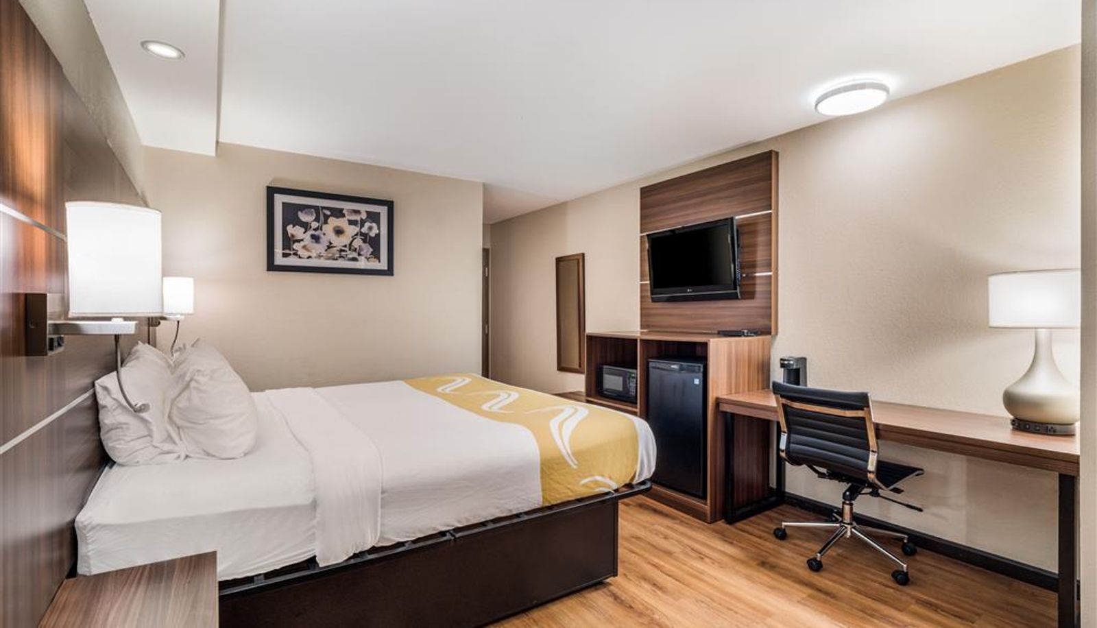 Room - Quality Inn & Suites Augusta Fort Gordon Area