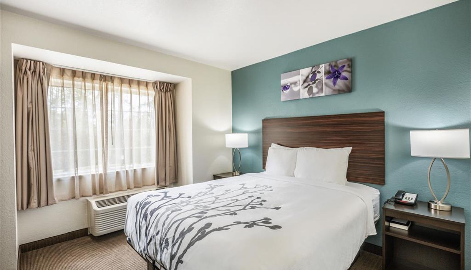 Zimmer - Sleep Inn & Suites Tallahassee-Capitol