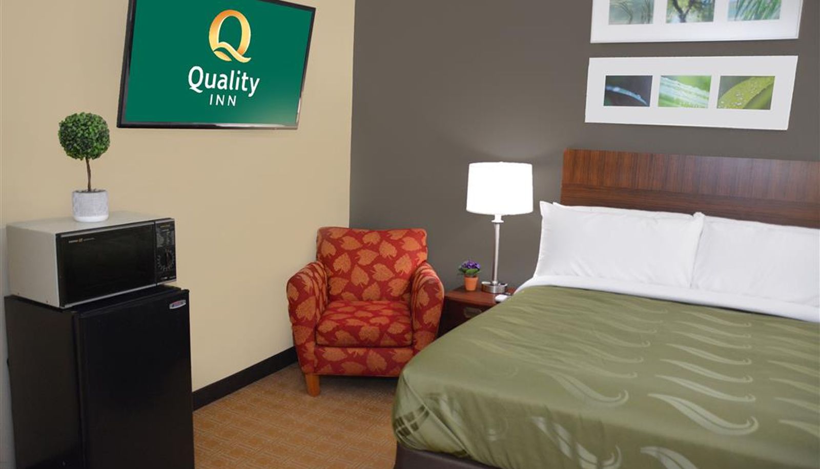 Chambre - Quality Inn & Suites
