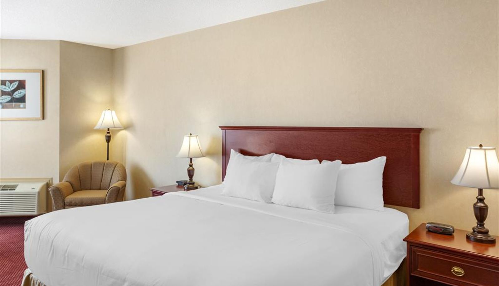 Room - Quality Inn & Suites Edmonton International Airport