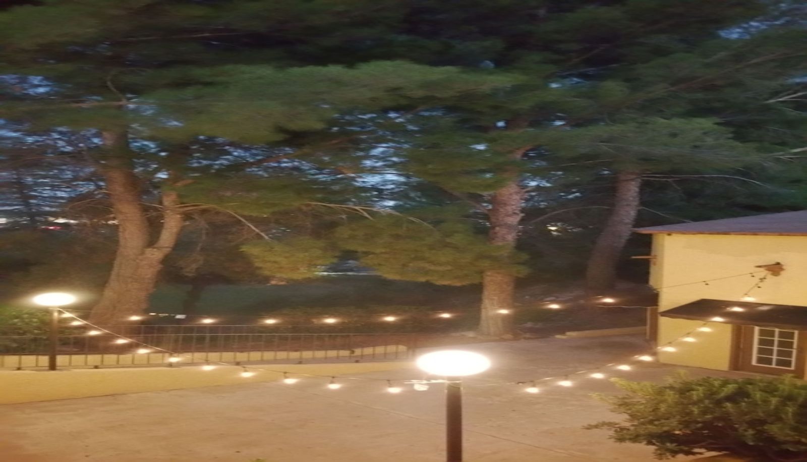Restaurant - Mariposa Hotel