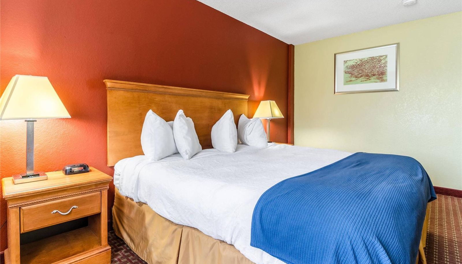 Zimmer - Rodeway Inn & Suites Jacksonville near Camp Lejeune