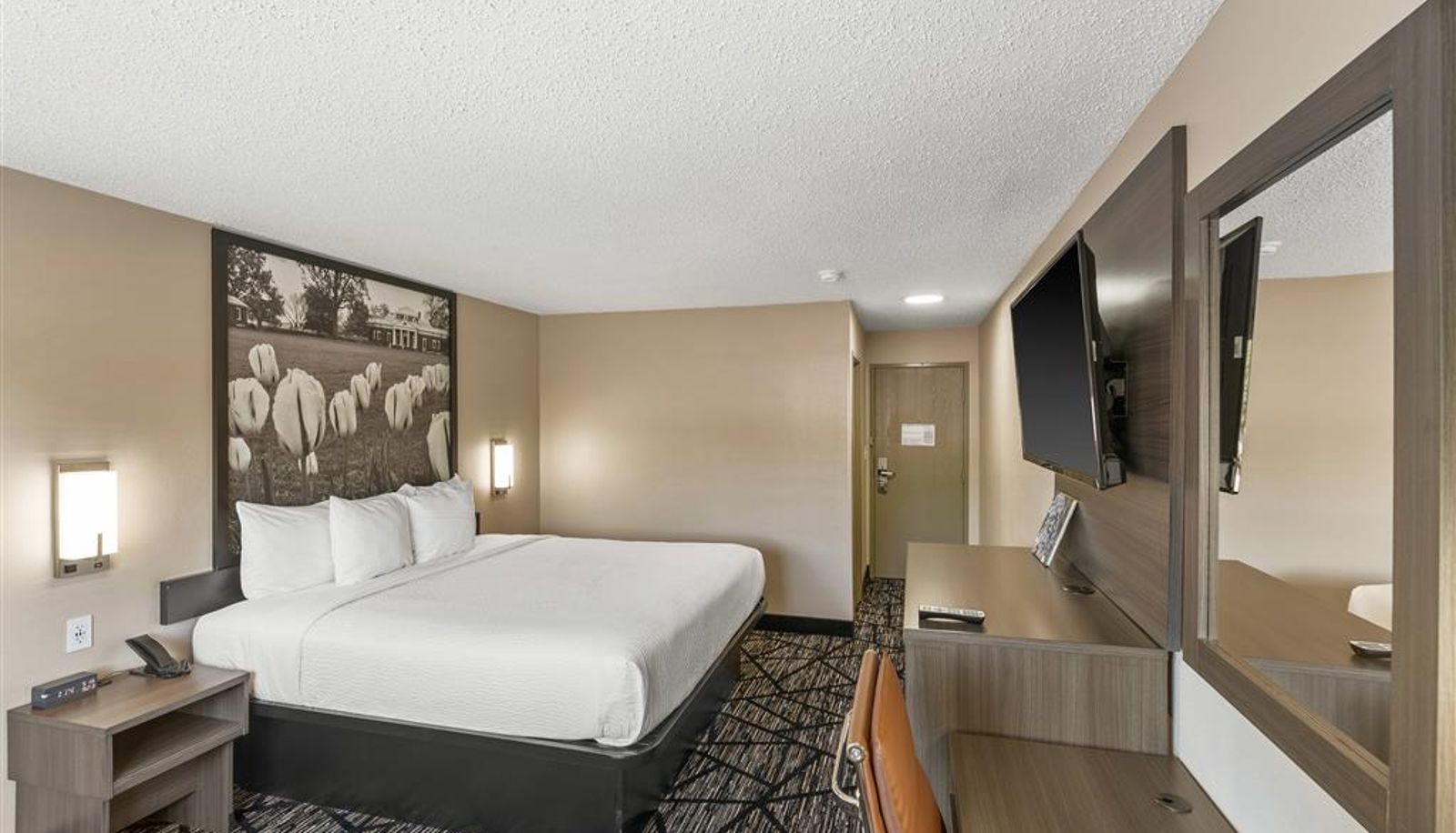 Zimmer - Super 8 by Wyndham Charlottesville