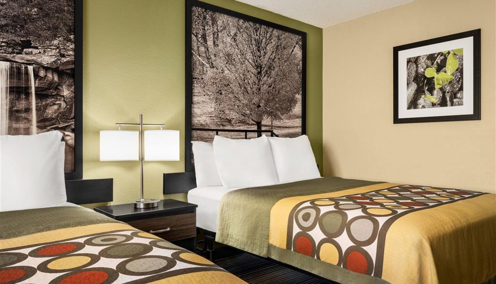 Chambre - Super 8 by Wyndham Maysville KY