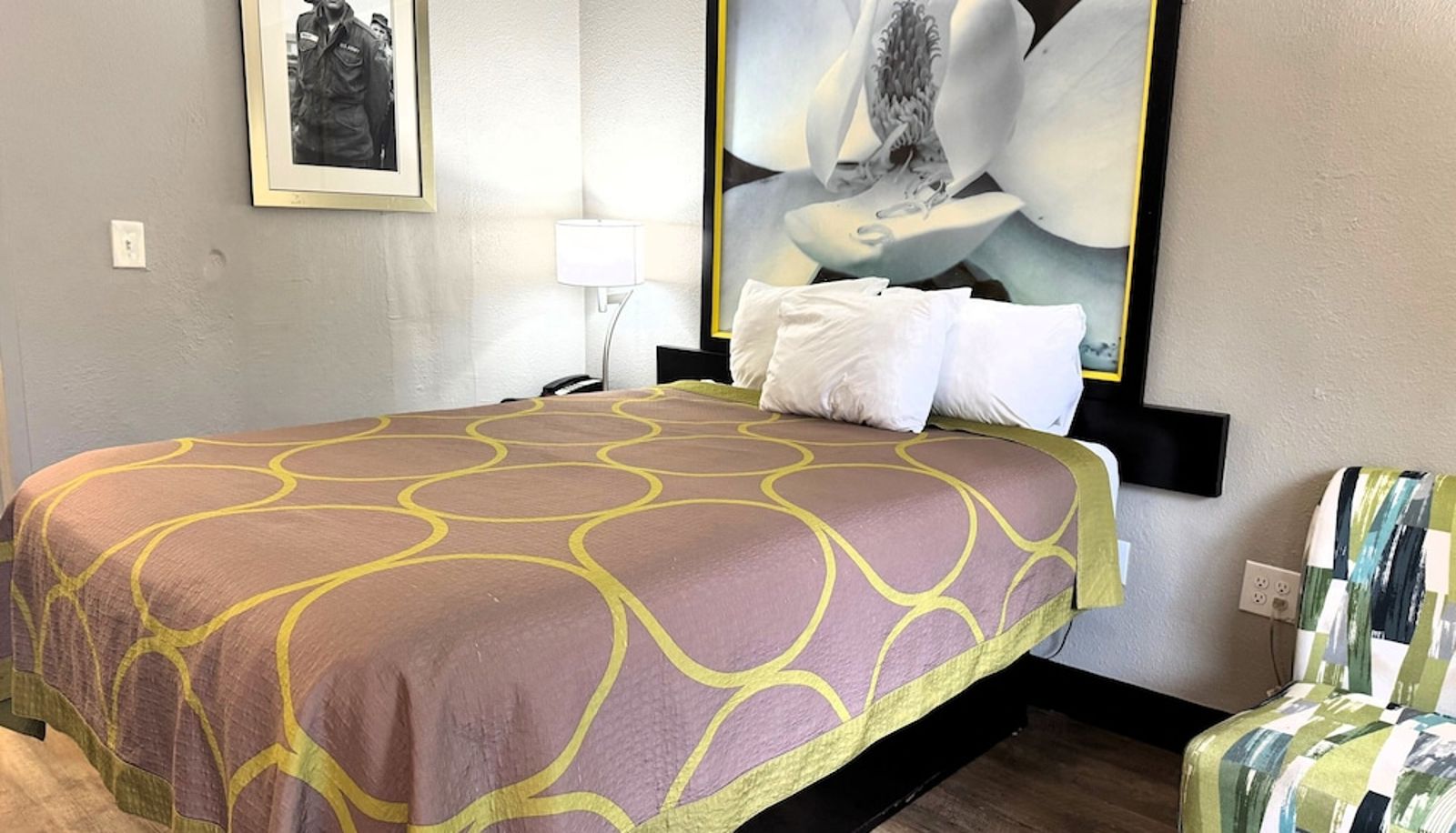 Standardzimmer - Super 8 by Wyndham Tupelo Airport