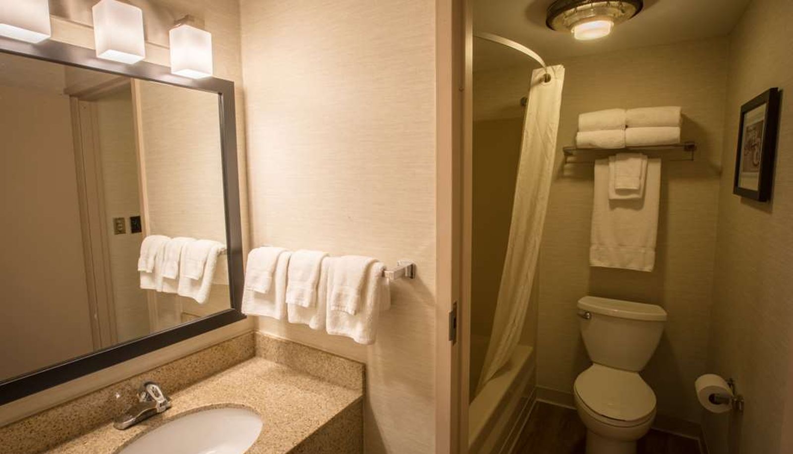 Room - Super 8 by Wyndham State College