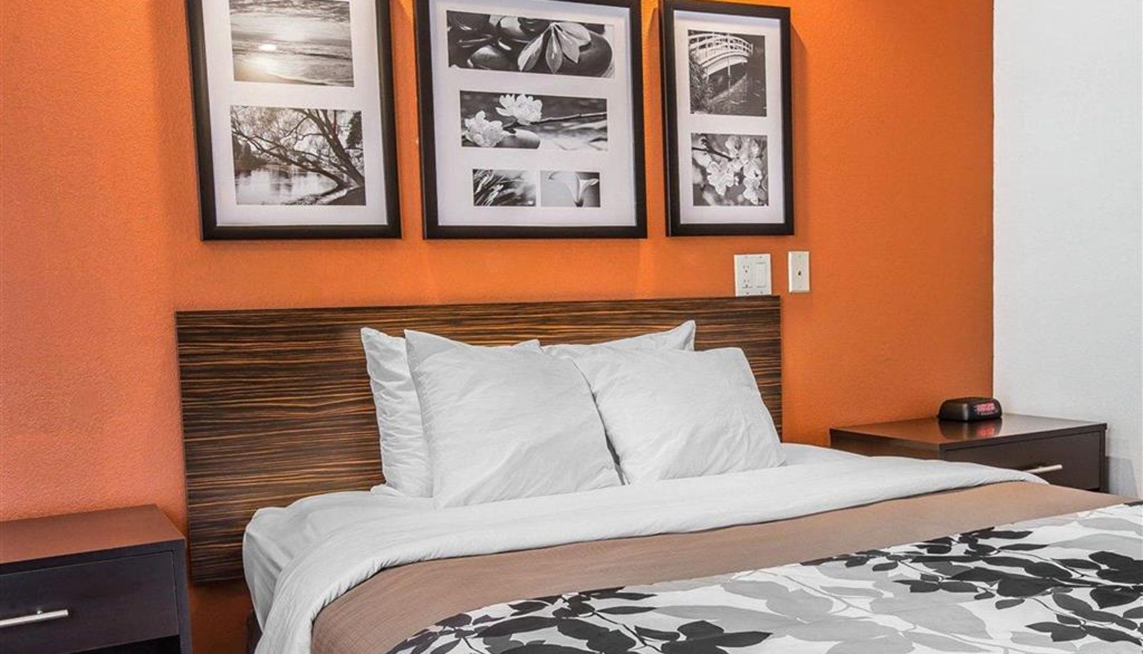 Zimmer - Sleep Inn Bessemer Helena