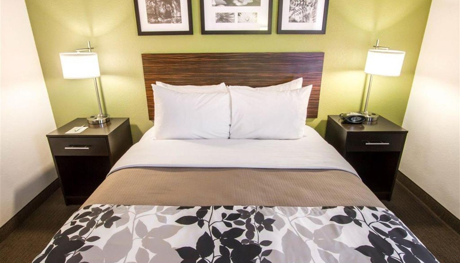 Room - Sleep Inn North Scottsdale near Mayo Clinic