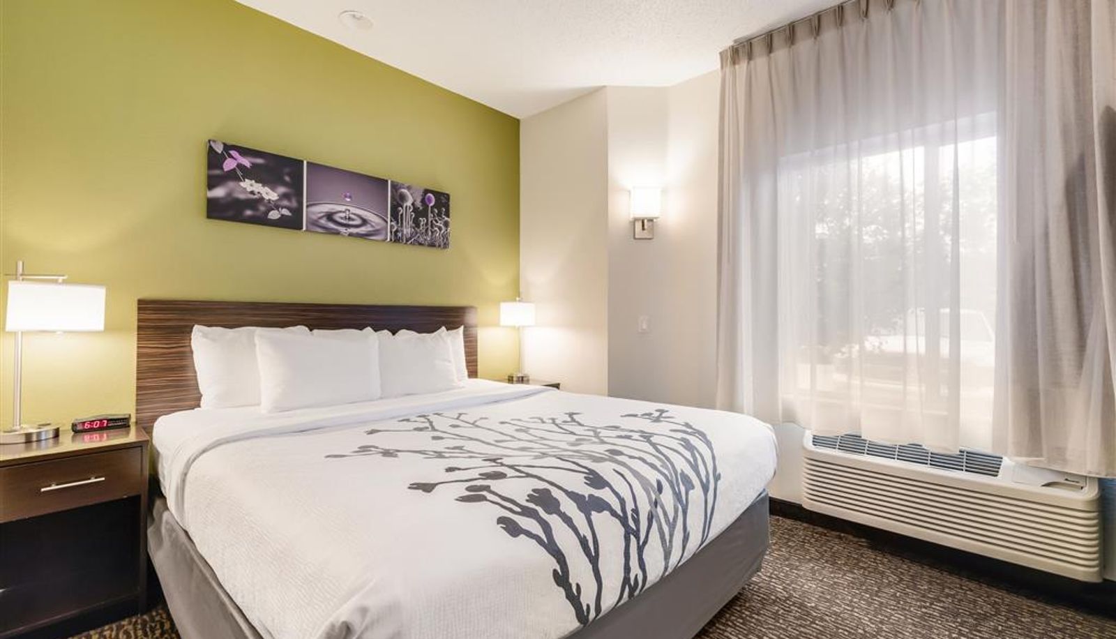 Zimmer - Sleep Inn Flagstaff