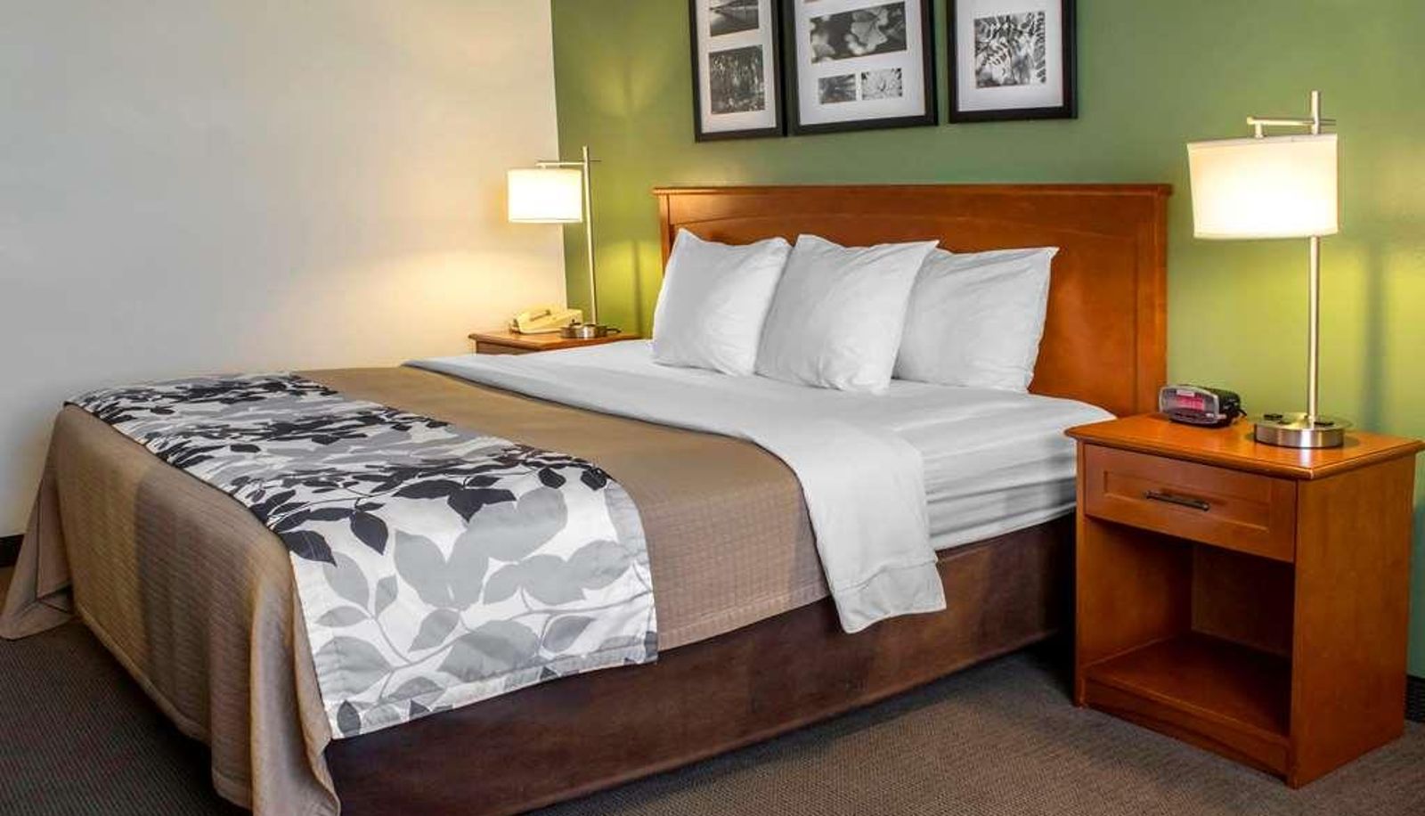 Standard room (double) - Sleep Inn & Suites