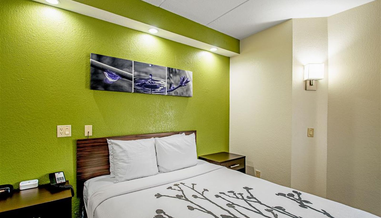 Kamer - Sleep Inn Frederick - Ballenger Creek