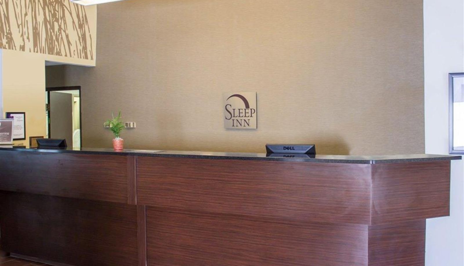 Lobby - Sleep Inn Wilson near I-95