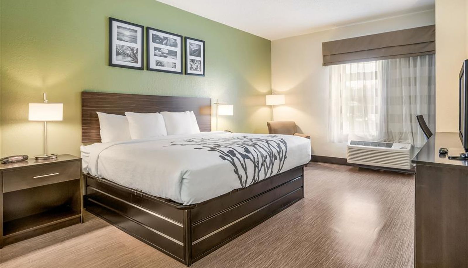 Zimmer - Sleep Inn & Suites Jacksonville near Camp Lejeune