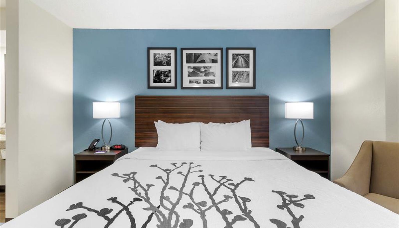 Zimmer - Sleep Inn Mt. Pleasant - Charleston