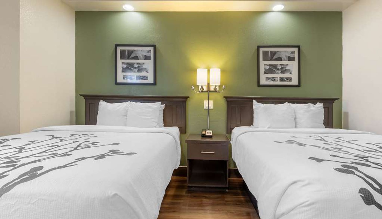 Habitación - Sleep Inn
