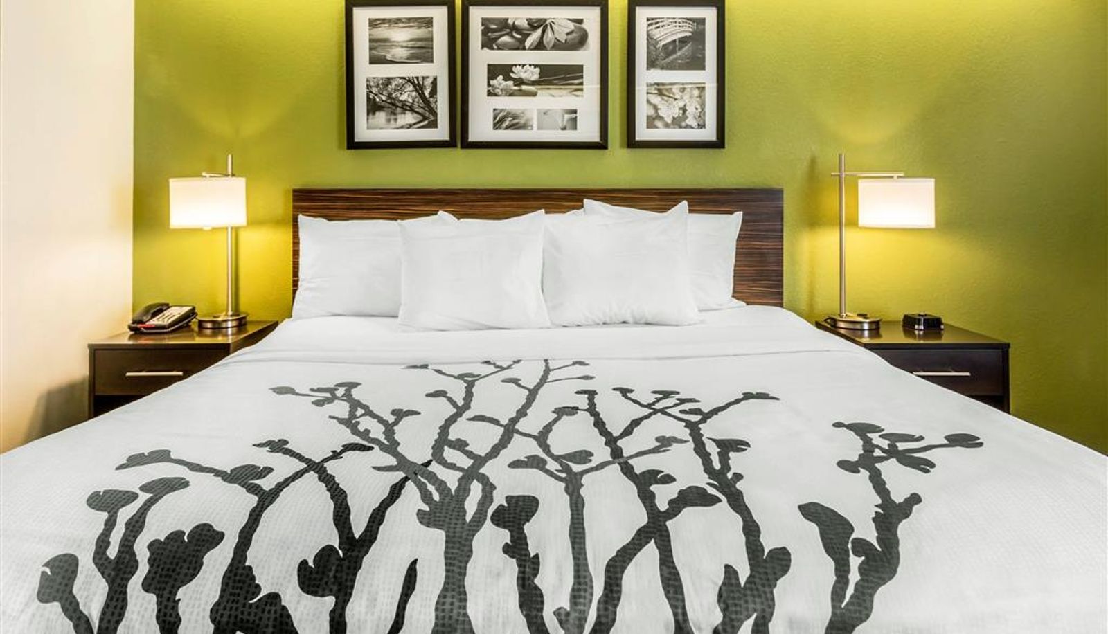Chambre - Sleep Inn Charleston - West Ashley