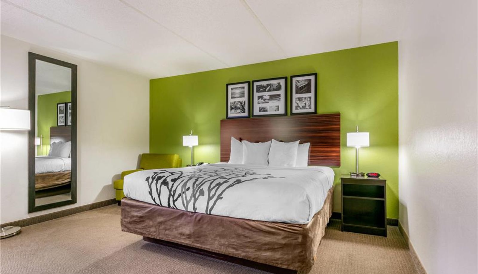 Room - Sleep Inn & Suites near Sports World Blvd.