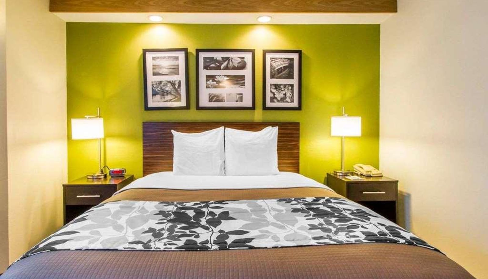 Camera standard (doppia) - Sleep Inn Airport