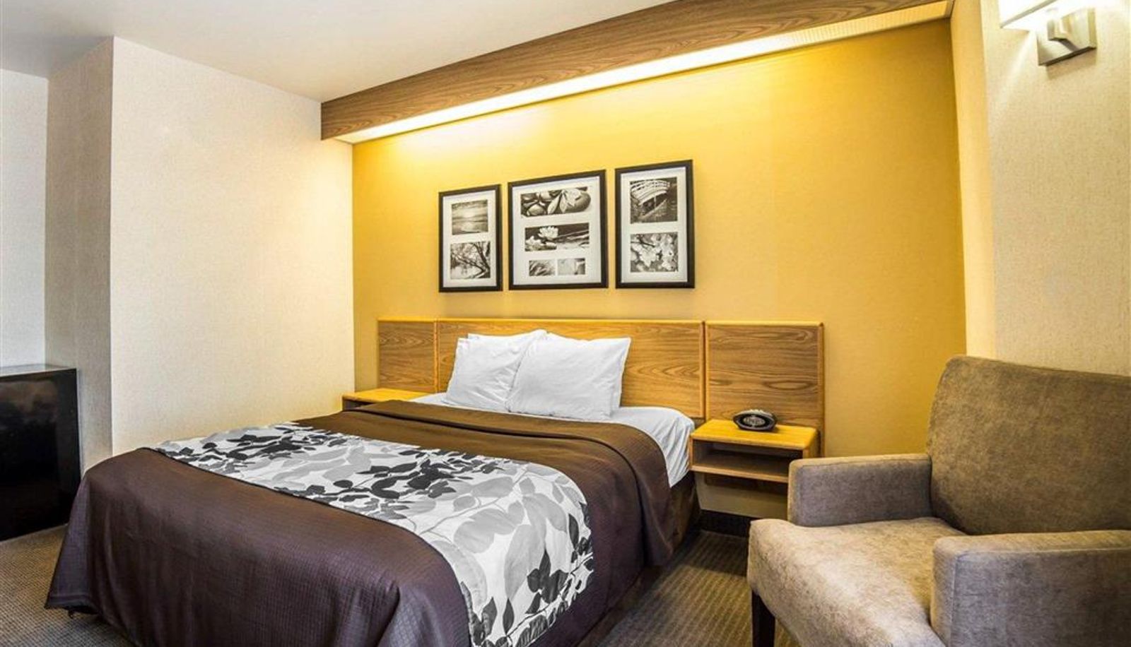 Zimmer - Quality Inn Moab Slickrock Area