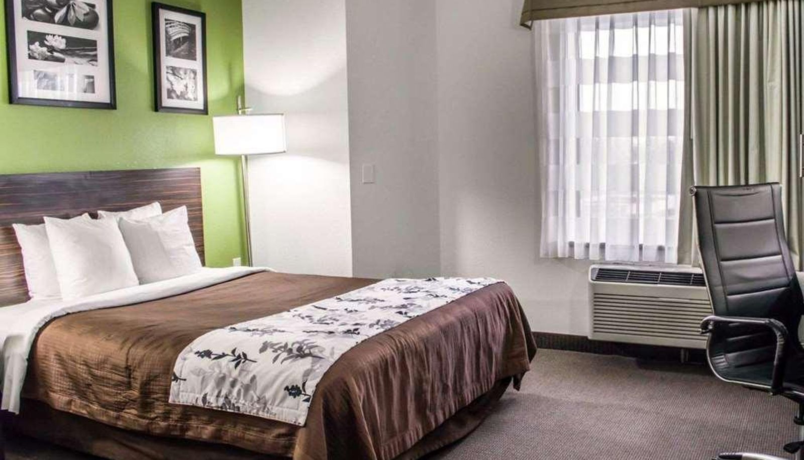 Standardzimmer (Doppel) - Sleep Inn Richmond South