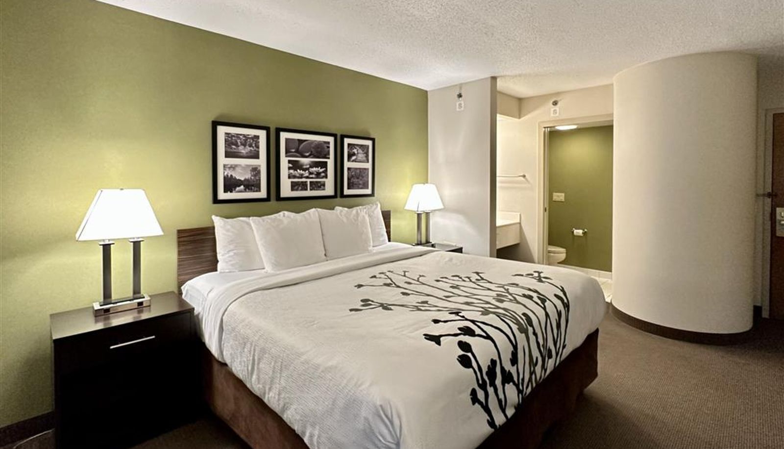 Room - Sleep Inn Staunton