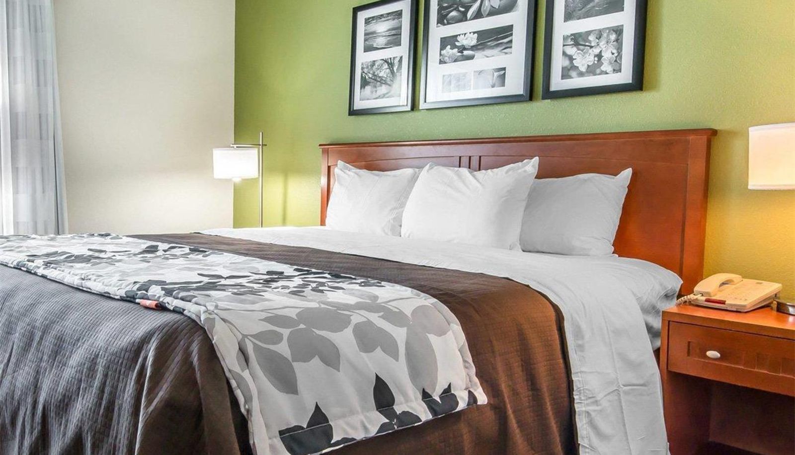 Room - Sleep Inn & Suites Winchester near University