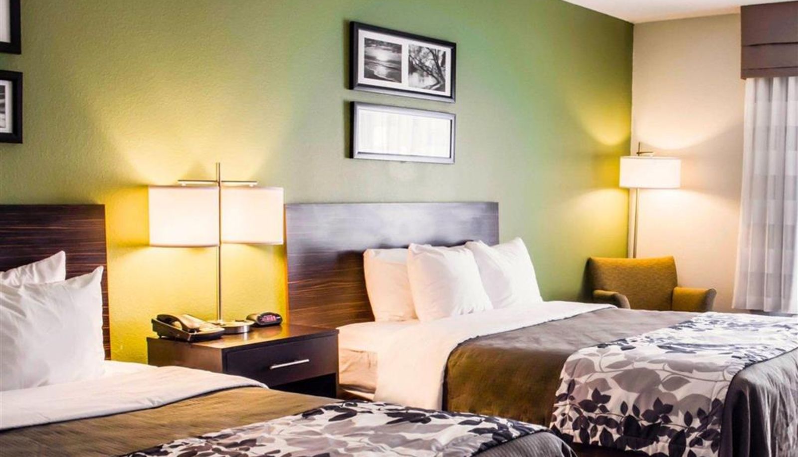 Room - Sleep Inn & Suites Virginia Horse Center