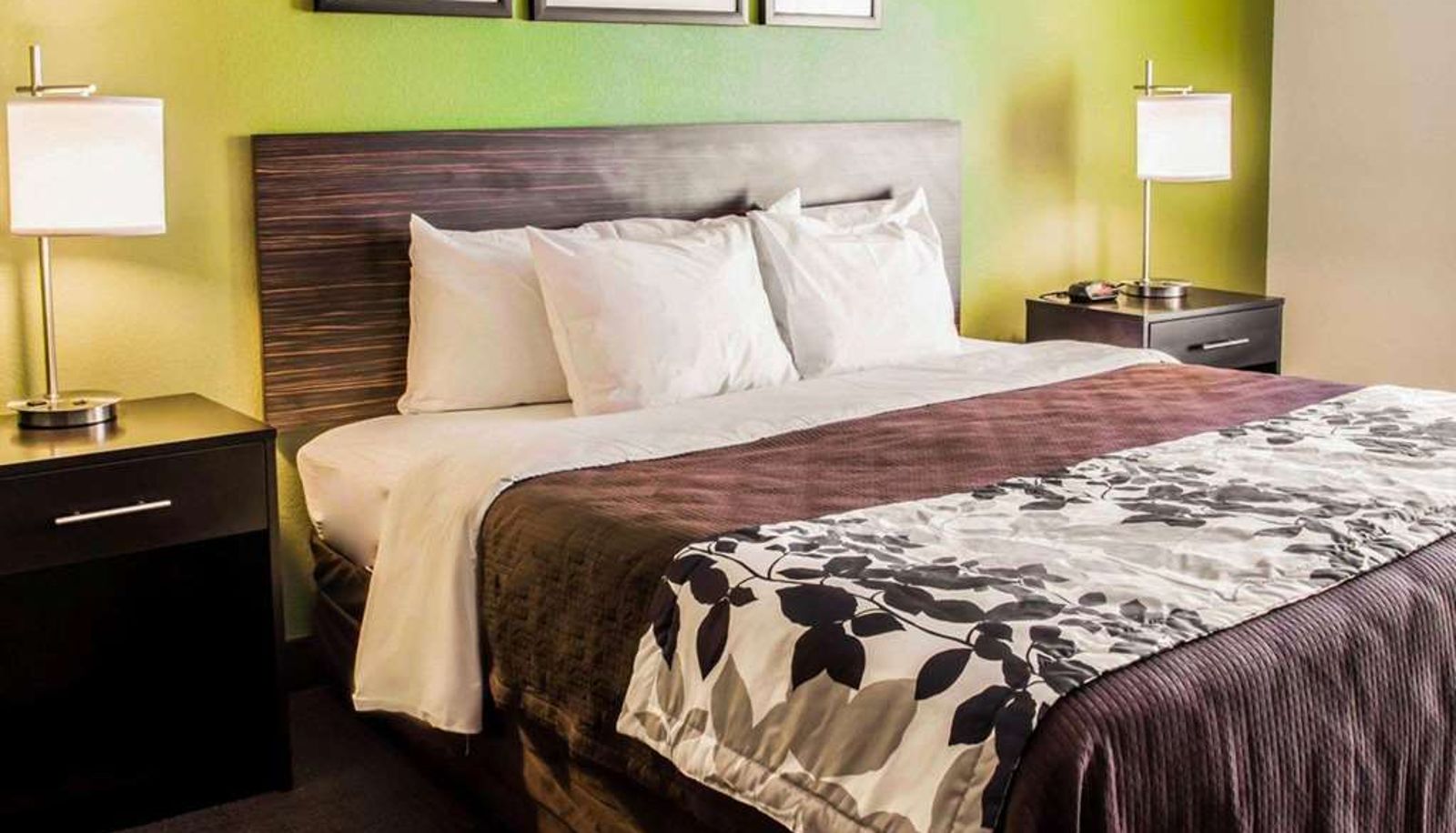 Suite - Sleep Inn & Suites Virginia Horse Center