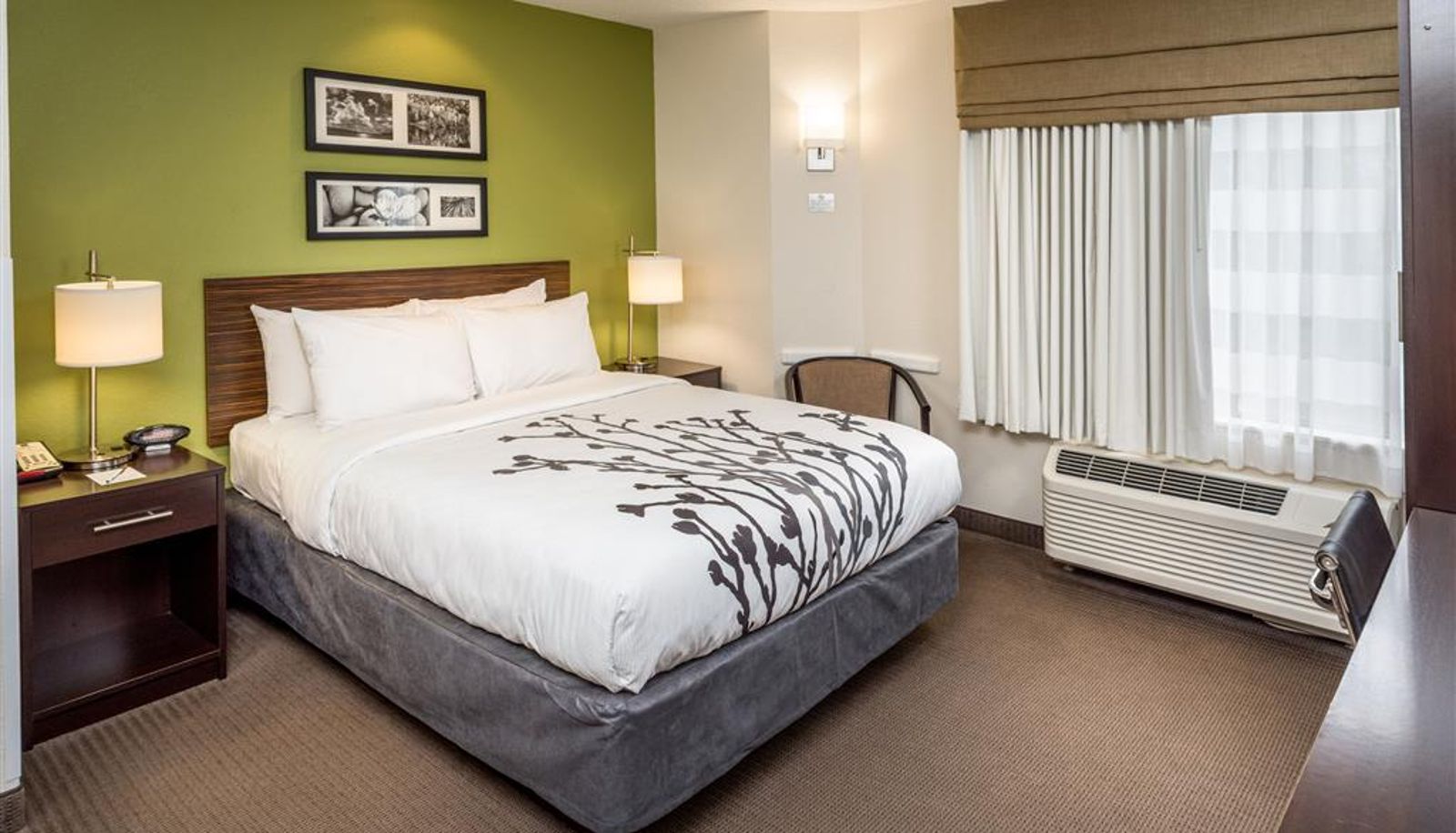 Room - Sleep Inn Charleston North