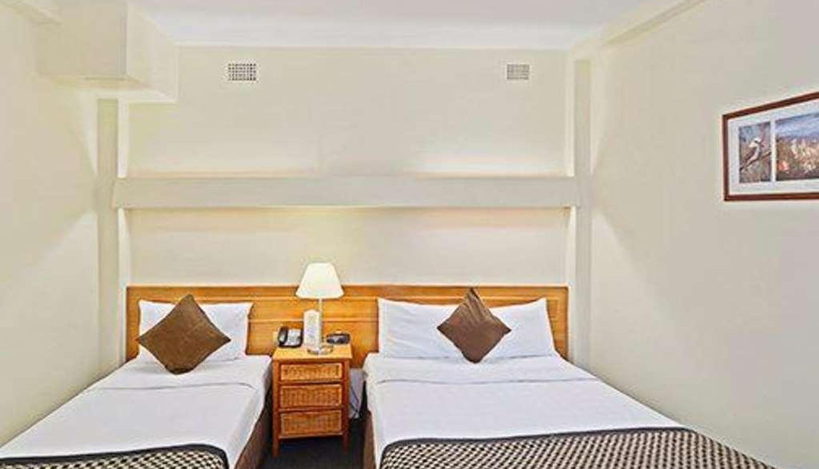Superior room (single) - Comfort Inn North Shore