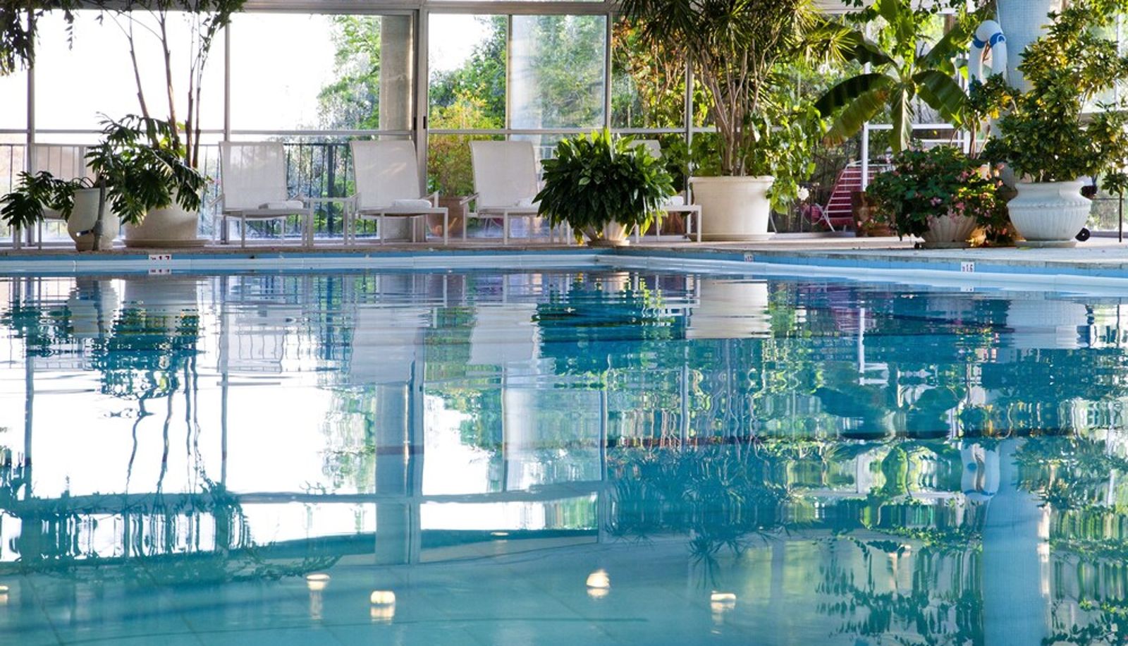 Pool - Mizpe Hayamim Rosh Pinna