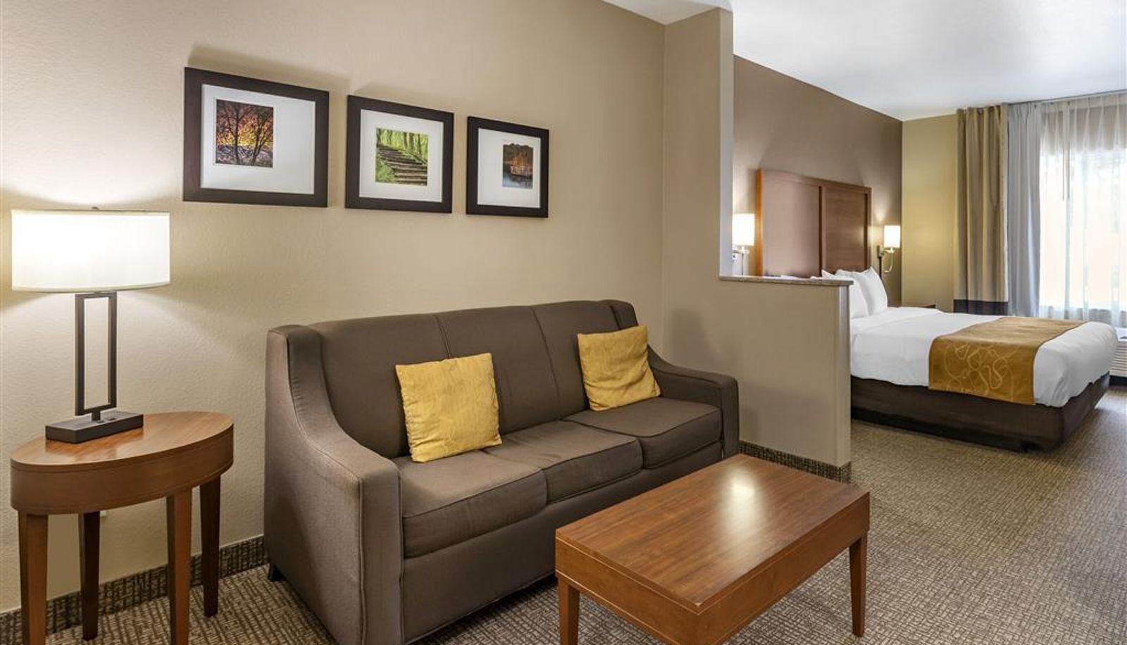 Room - Comfort Suites Coralville I-80