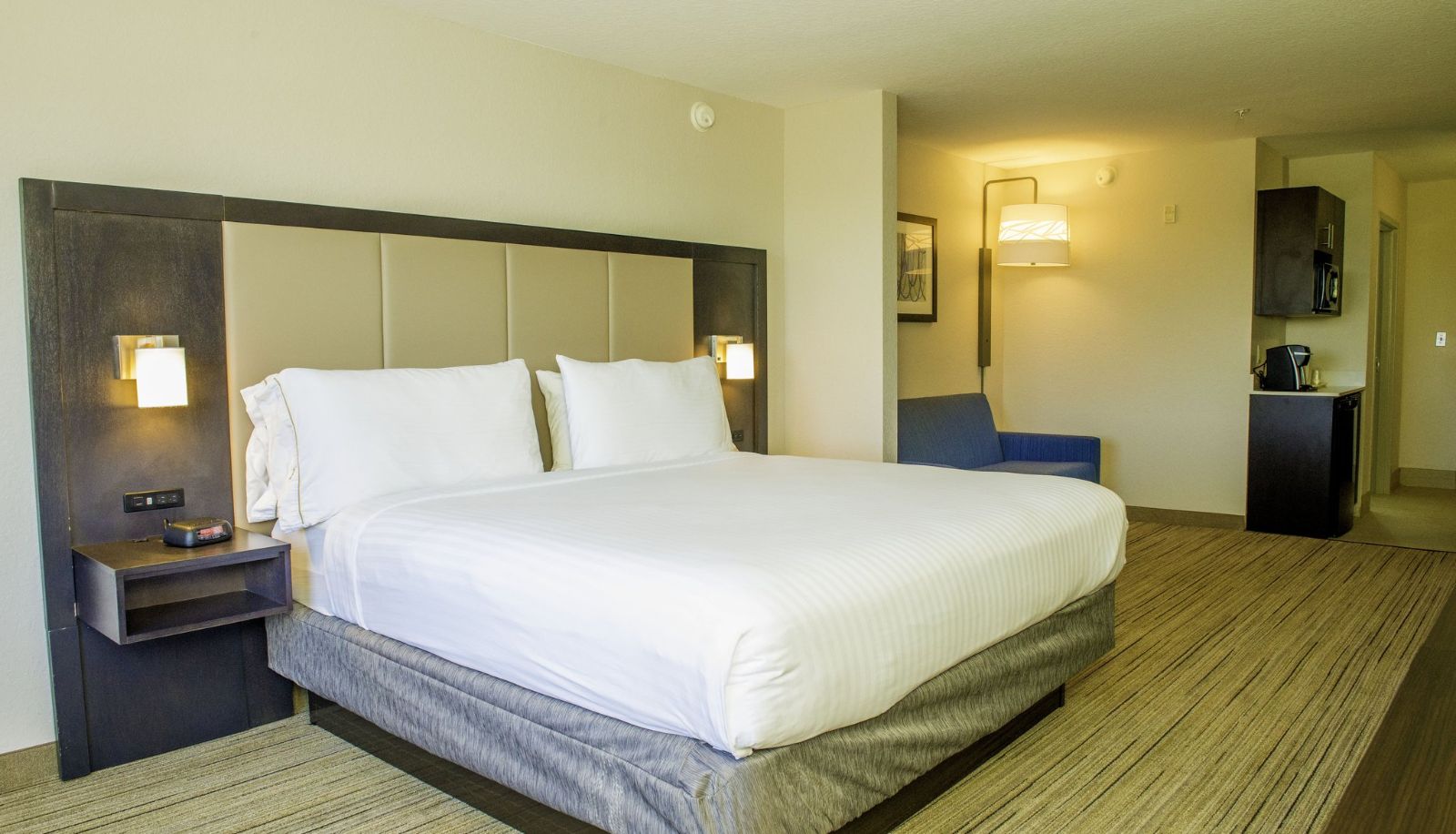 Zimmer - Holiday Inn Express & Suites ST. PETERSBURG NORTH (I-275) by IHG