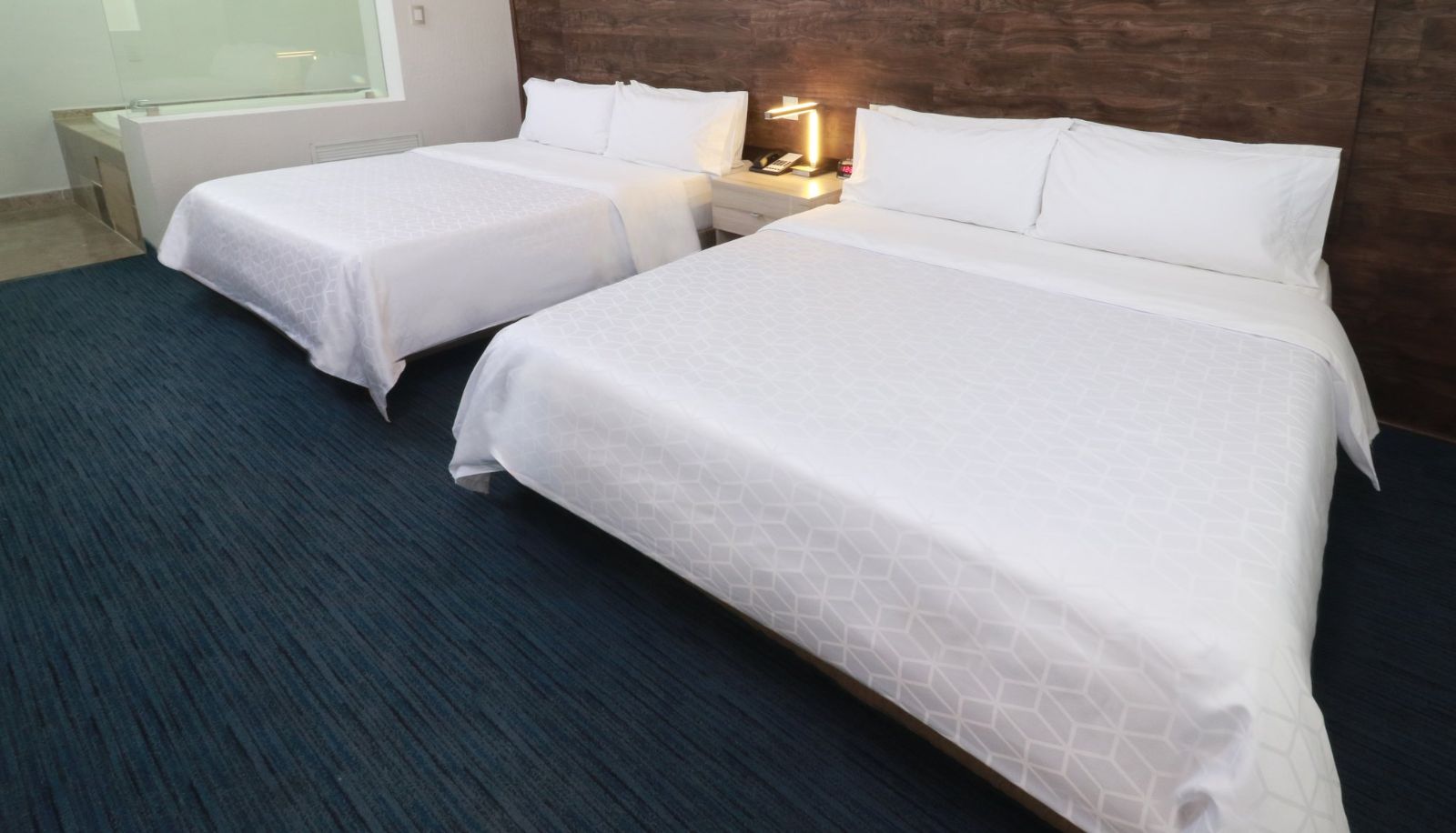 Camera - Holiday Inn Express SAN LUIS POTOSI by IHG