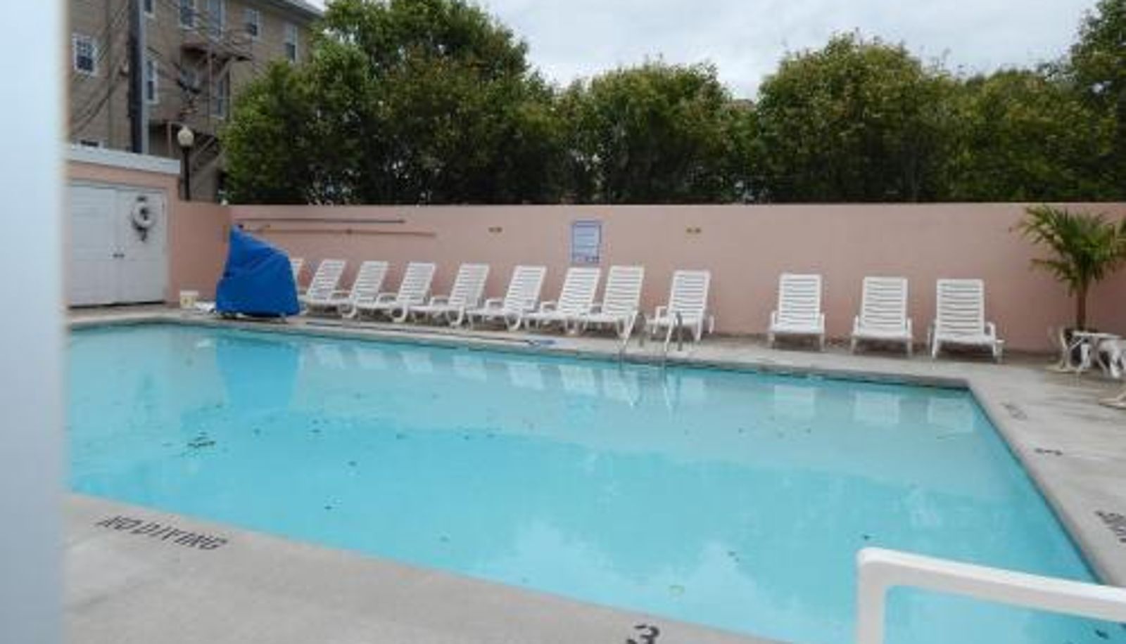 Piscina - Paradise Plaza Inn