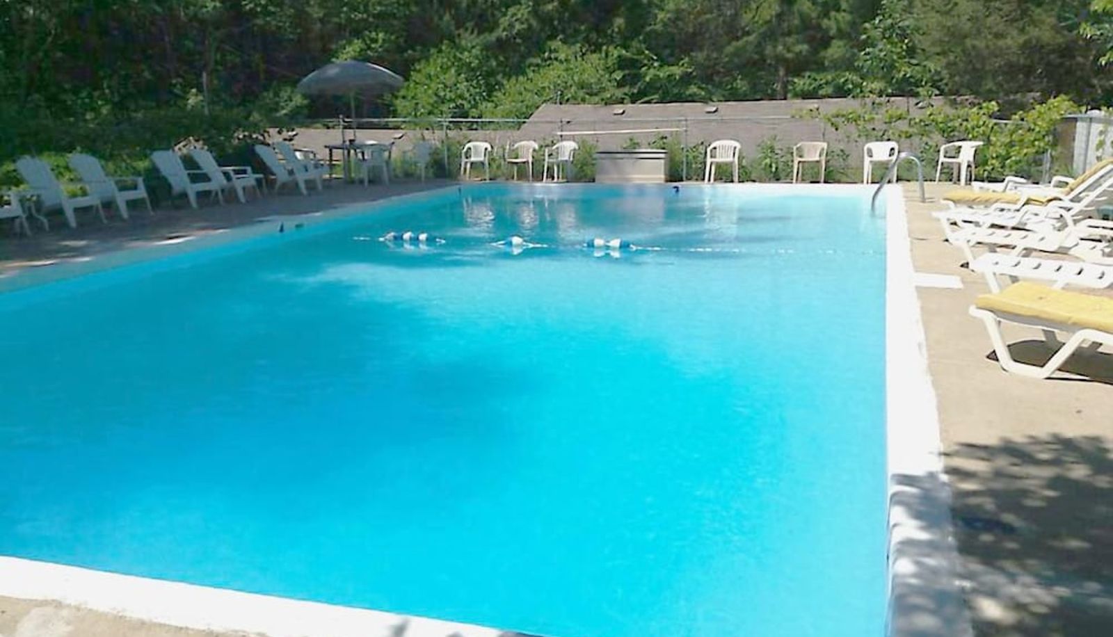 Pool - Silver Spruce Resort