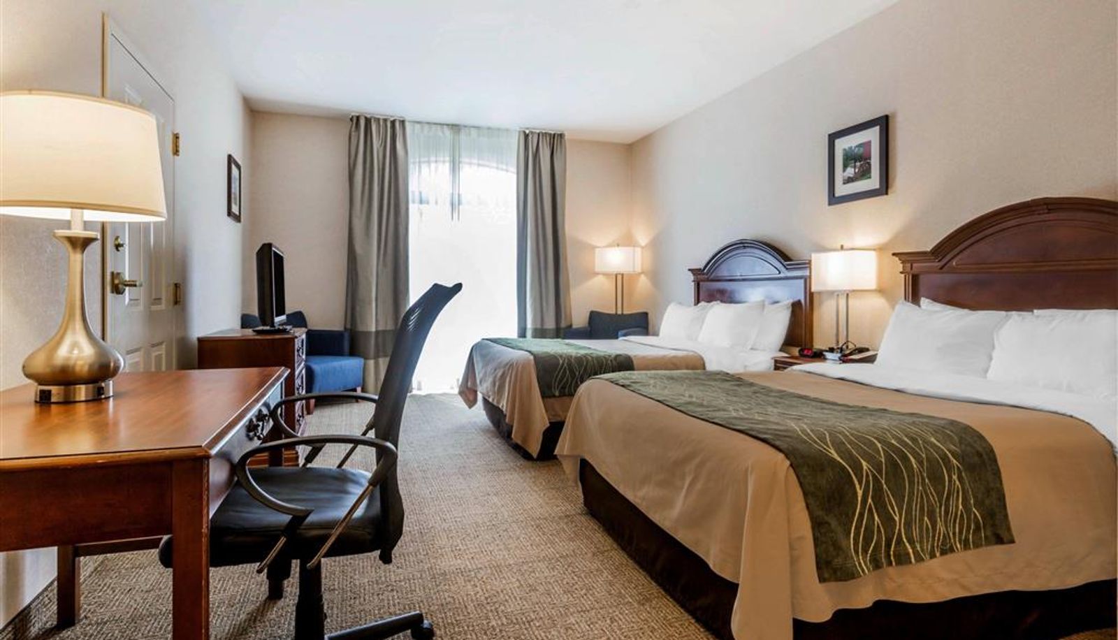 Room - Comfort Inn & Suites South Burlington near University