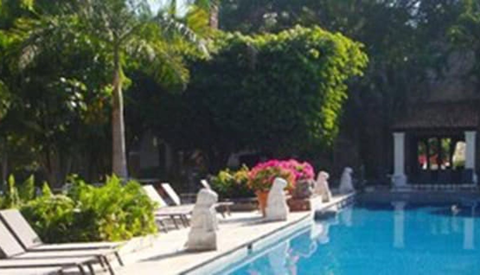 Piscina - Hotel Hacienda Vista Hermosa
