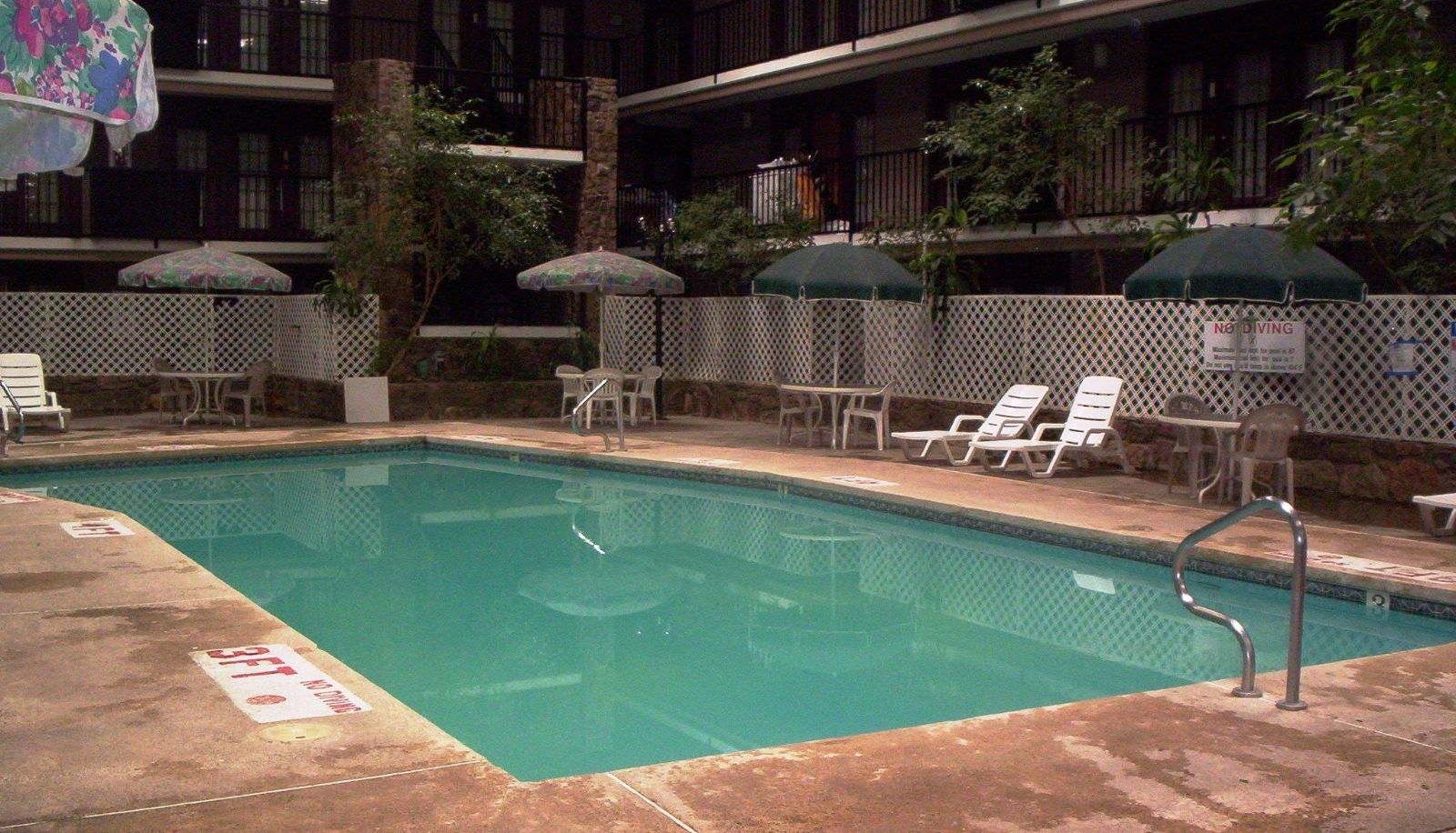 Pool - 1Hotel