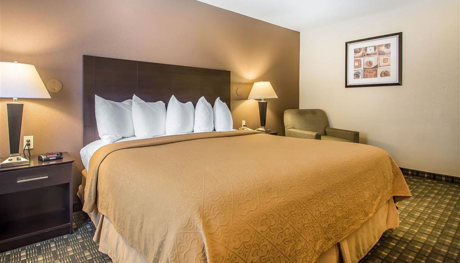 Room - Quality Inn & Suites Decorah