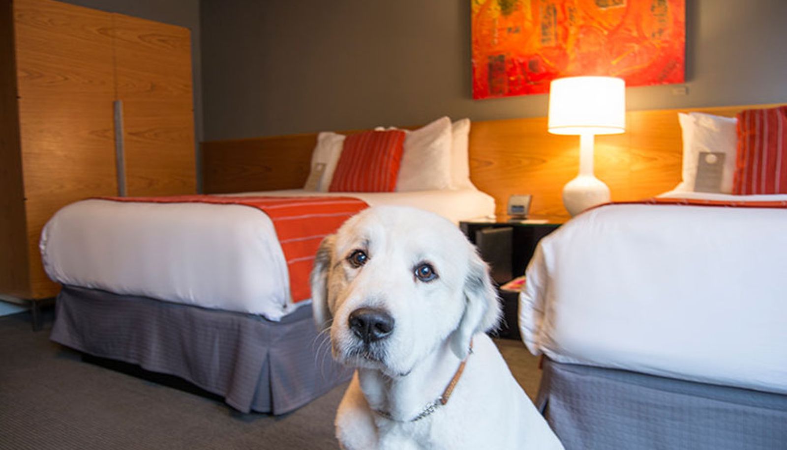 Habitación - Hotel Max